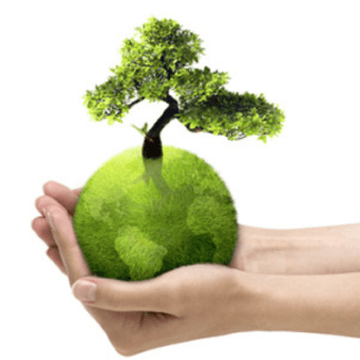 BOLSAS Y ENVASES BIODEGRADABLES